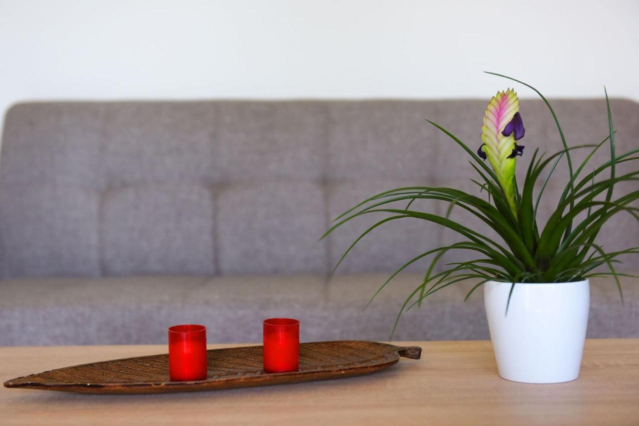 Stelia Luxury Apartments Kalavárda エクステリア 写真